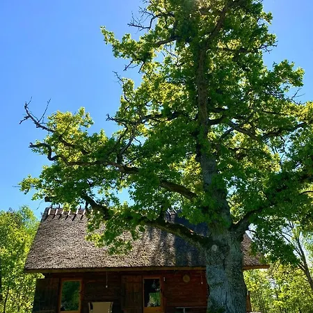 Gospodarstwo wiejskie Laugu Turismitalu More Than 100 Years Old Farm And Local Food *