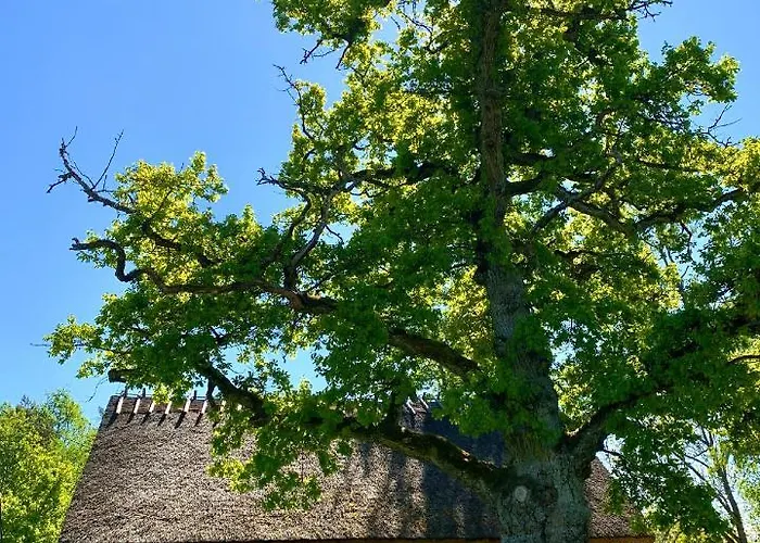 Casa rural Laugu Holiday Resort *